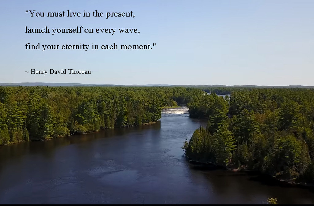 Detail Henry David Thoreau Quotes Nomer 18