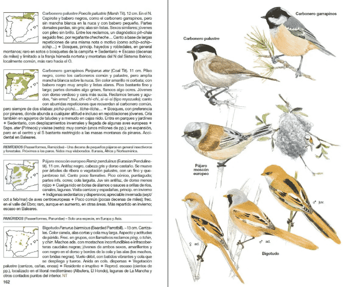 Detail Hewan Aves Adalah Nomer 20