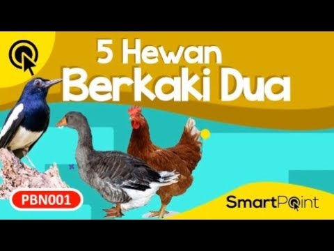 Hewan Berkaki Dua Apa Saja - KibrisPDR