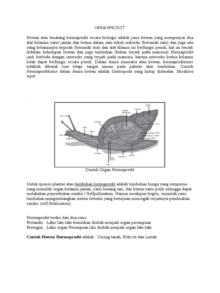 Detail Hewan Hermaprodit Adalah Nomer 21