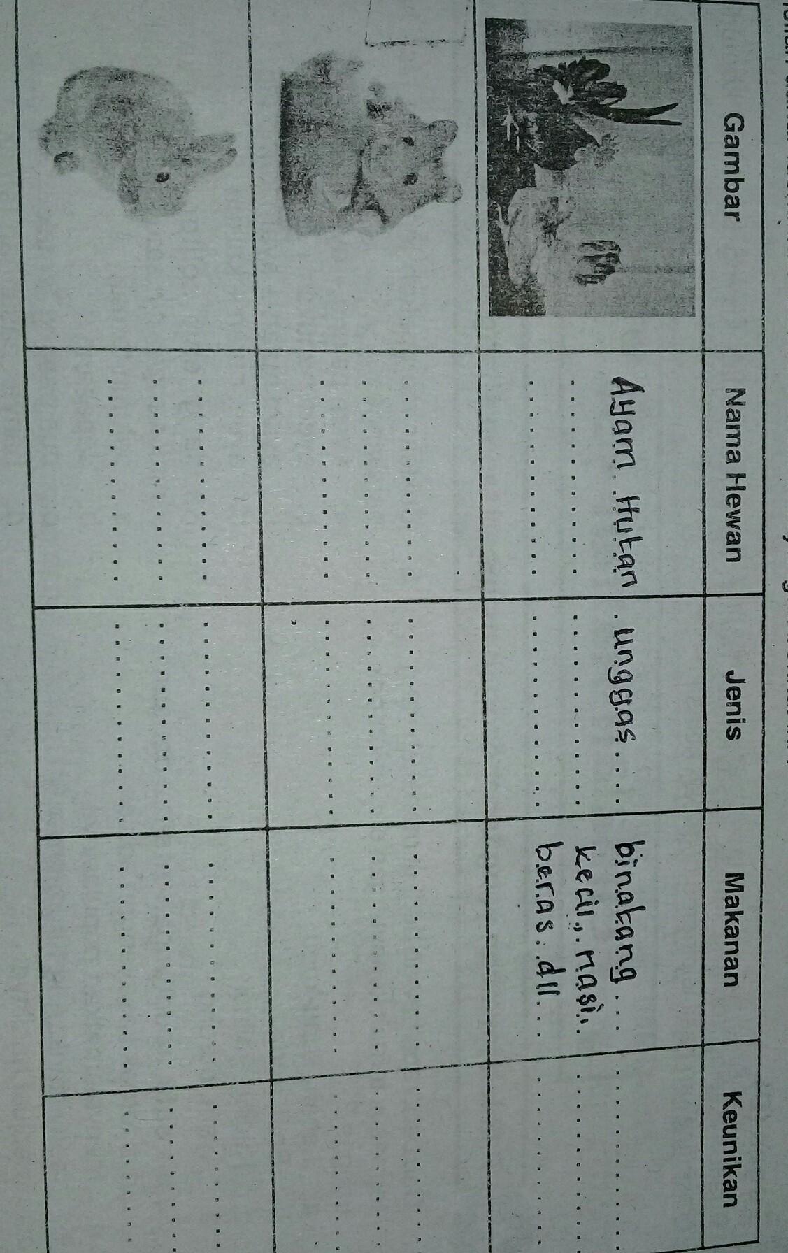 Detail Hewan Ternak Kesayangan Yang Termasuk Hewan Pengerat Adalah Nomer 26