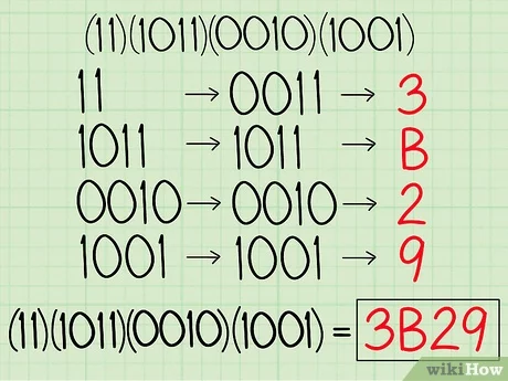 Detail Hexadesimal Gambar Mencari Biner Nomer 8