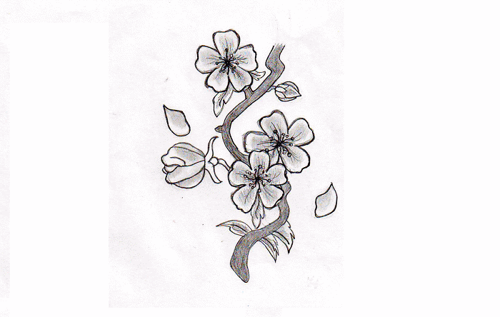 Detail Hiasan Untuk Gambar Sketsa Bunga Nomer 7
