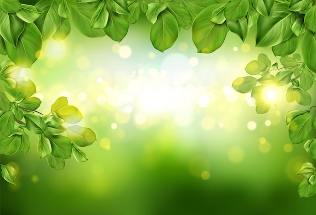 Detail Background Green Daun Nomer 15