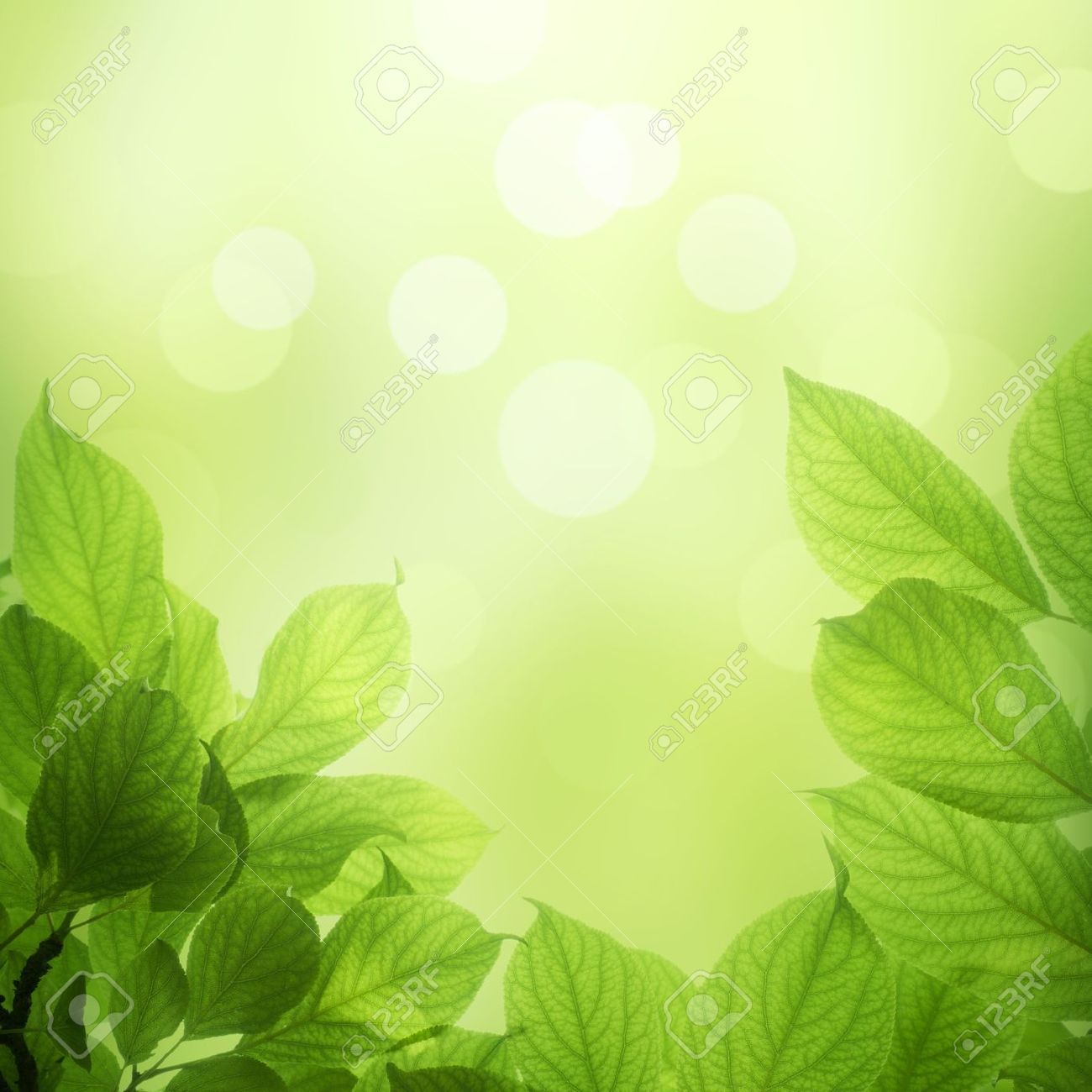 Detail Background Green Daun Nomer 34