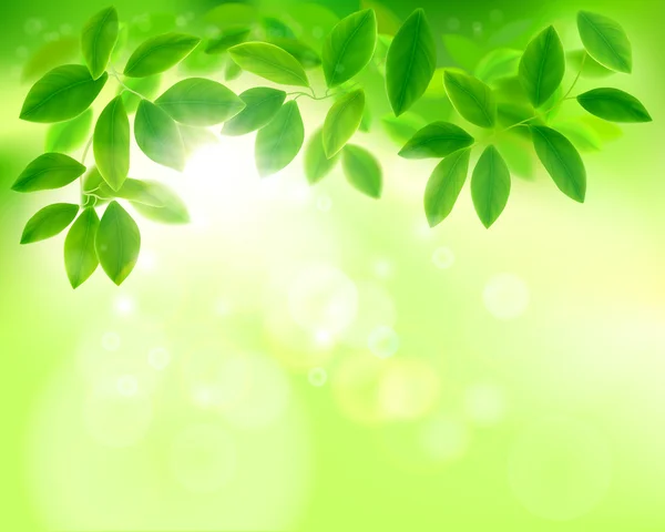 Detail Background Green Daun Nomer 44