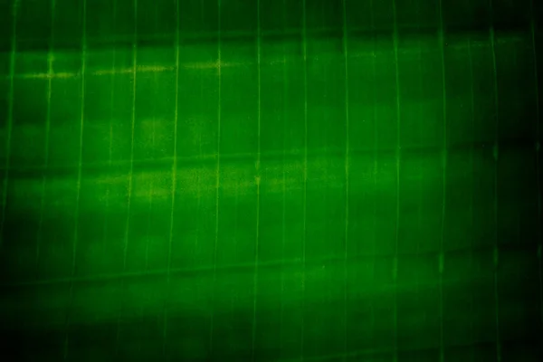 Detail Background Green Daun Nomer 51
