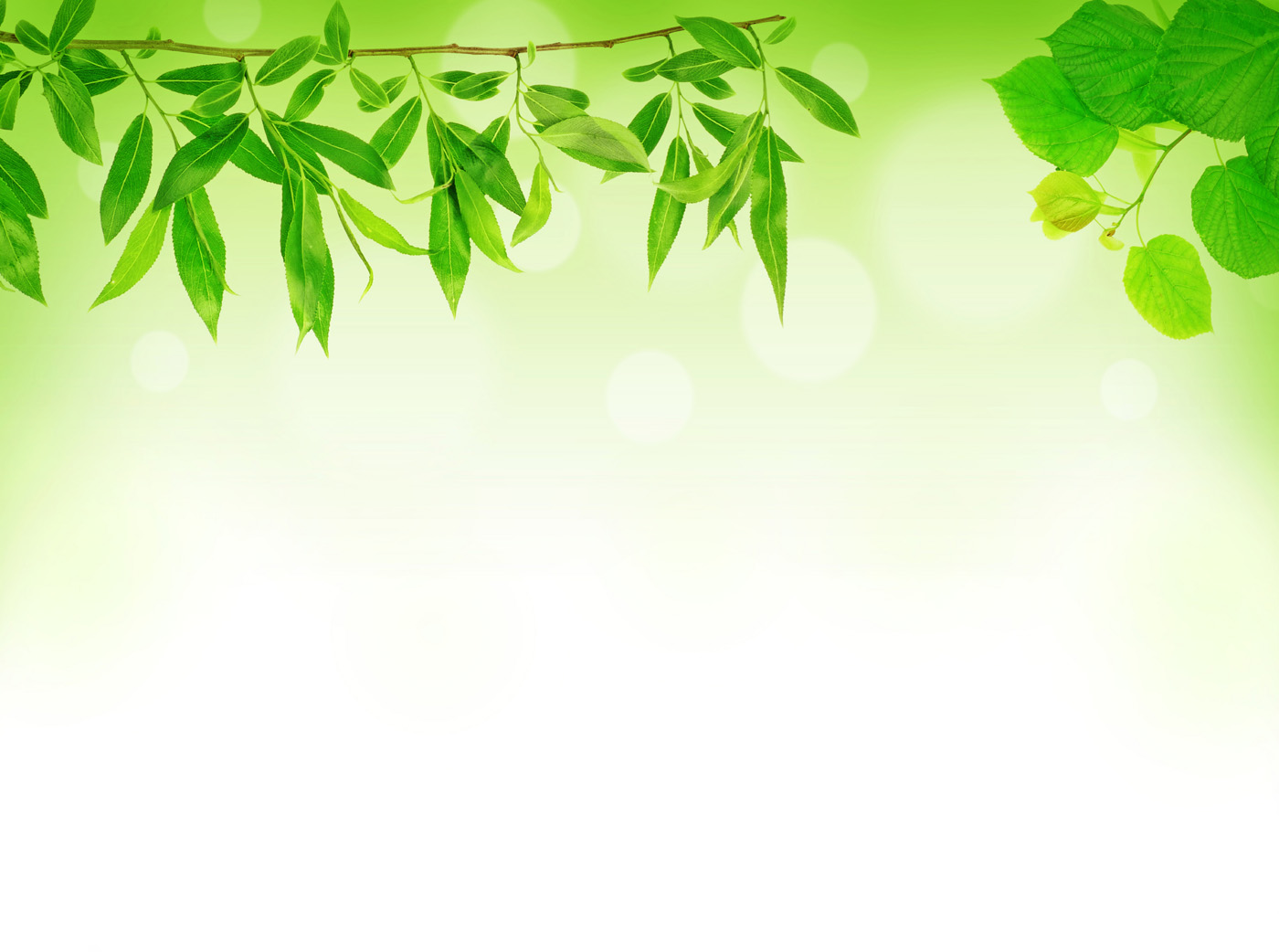Detail Background Green Daun Nomer 8