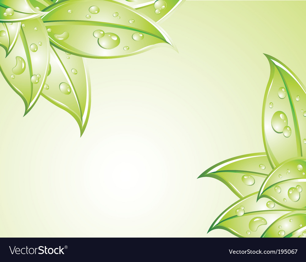 Detail Background Green Leaf Nomer 3