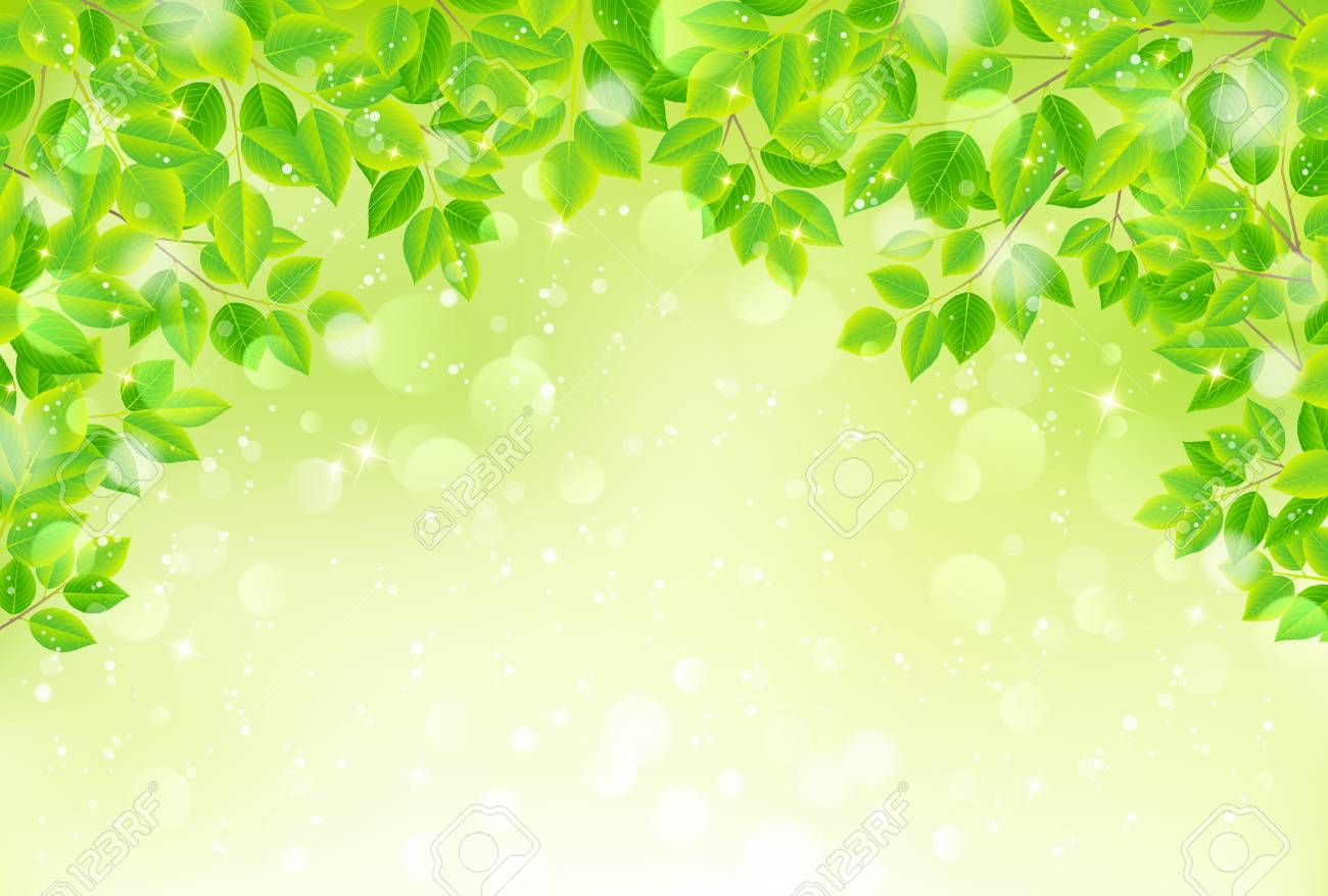 Detail Background Green Leaf Nomer 5