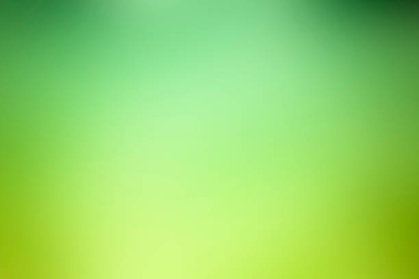 Detail Background Green Soft Nomer 10