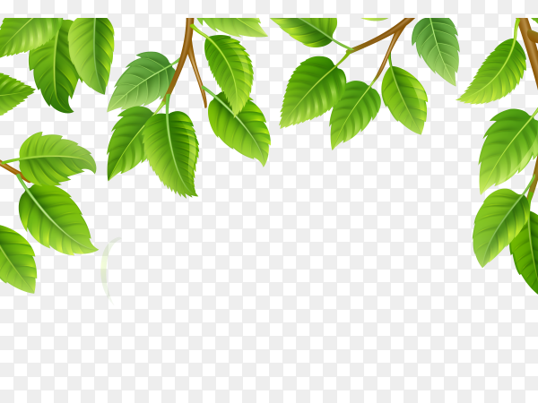 Detail Background Green Vector Png Nomer 36