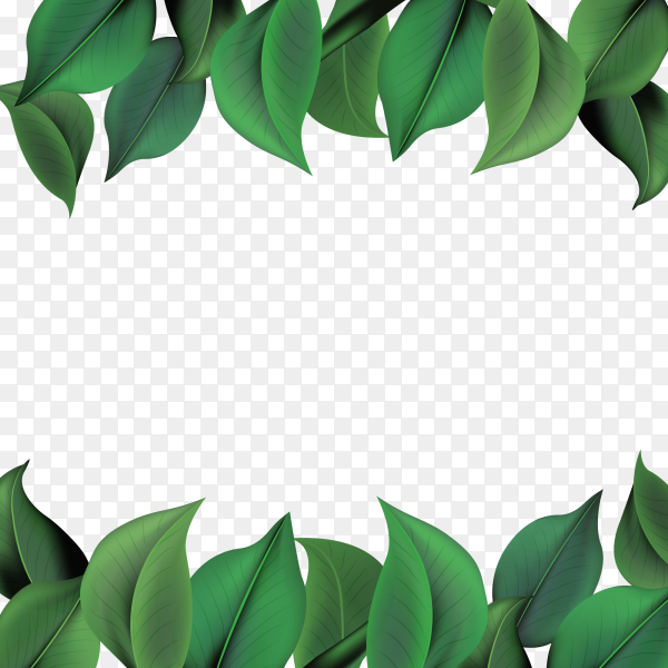 Detail Background Green Vector Png Nomer 48