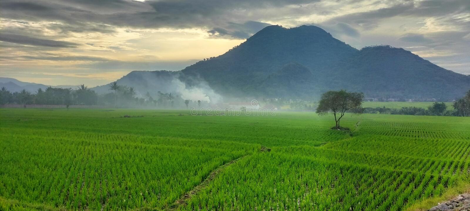 Detail Background Gunung Nomer 6