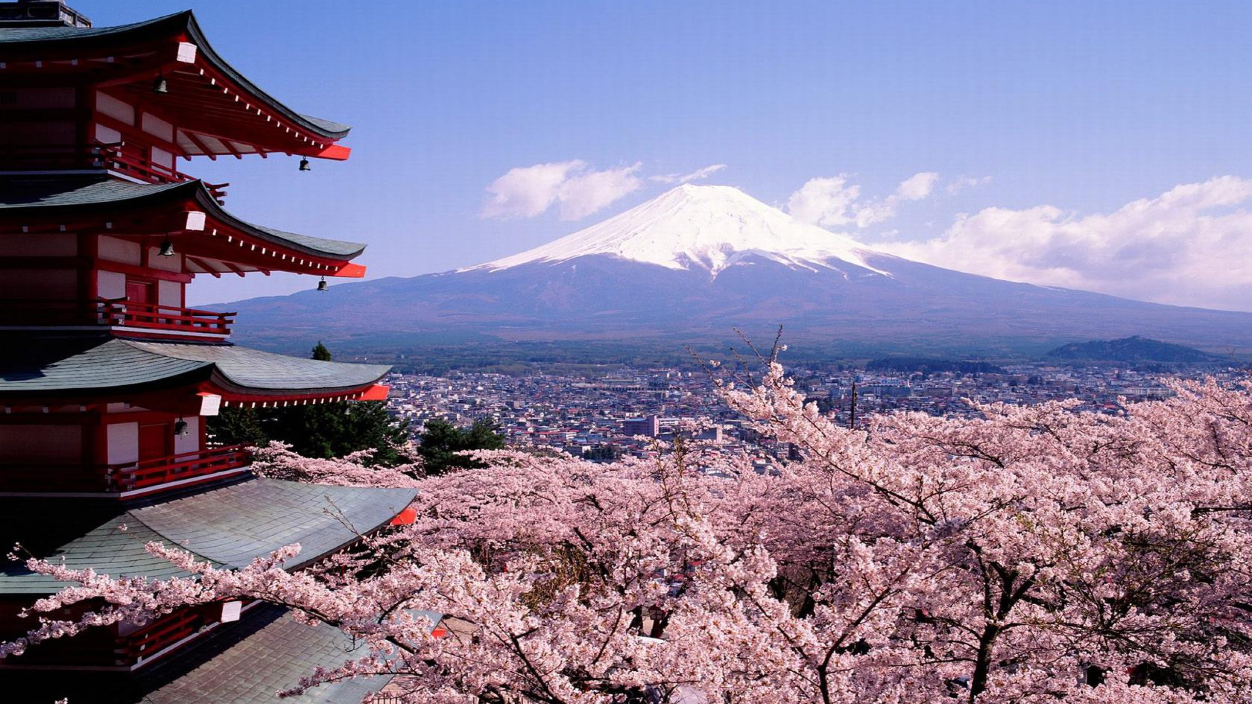 Detail Background Gunung Fuji Nomer 31