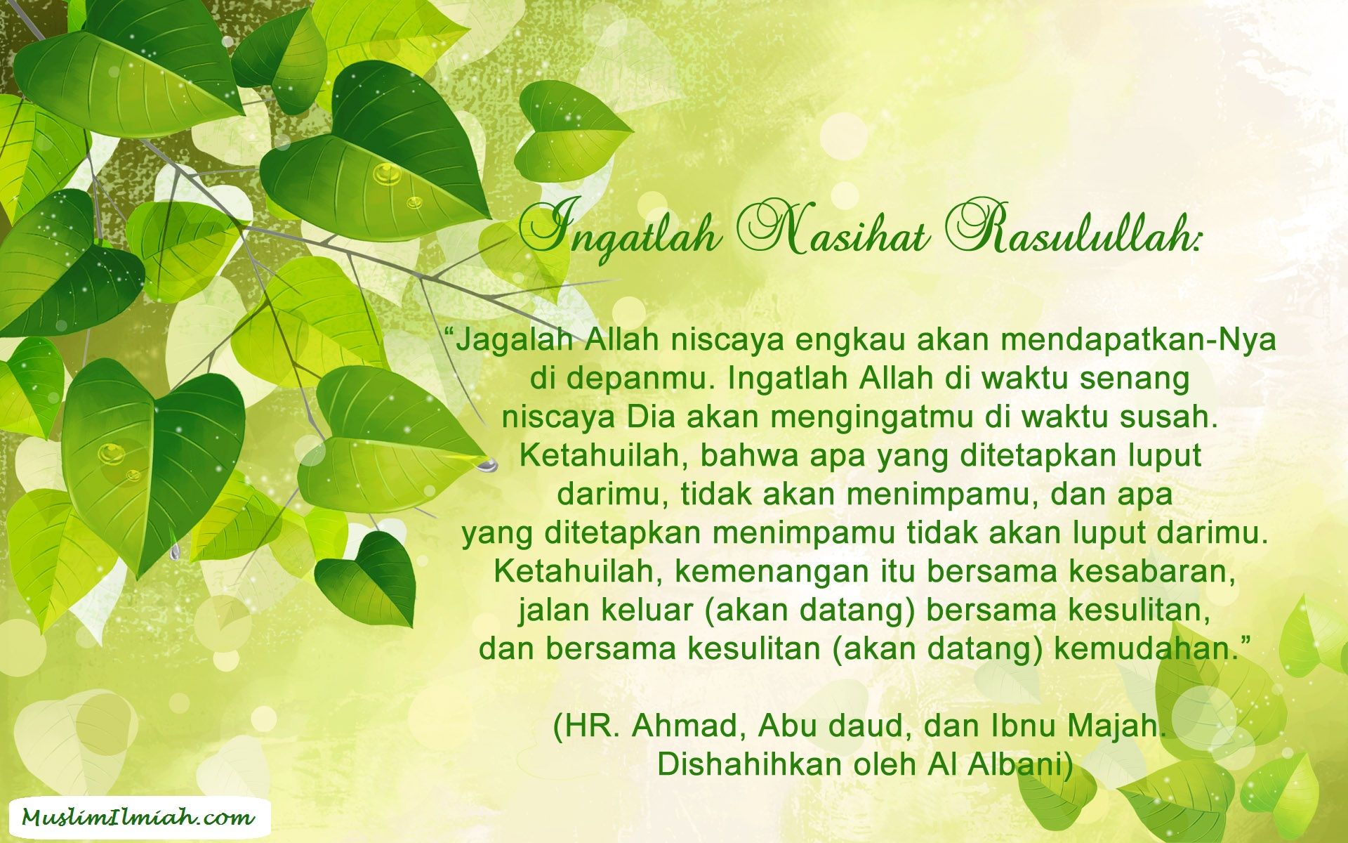 Background Hadits - KibrisPDR
