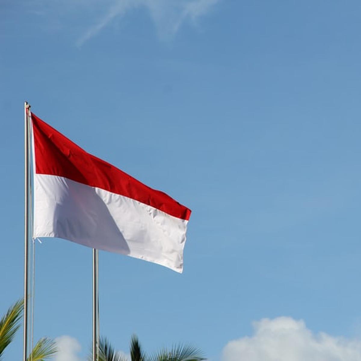 Detail Background Hari Kemerdekaan Indonesia Nomer 55
