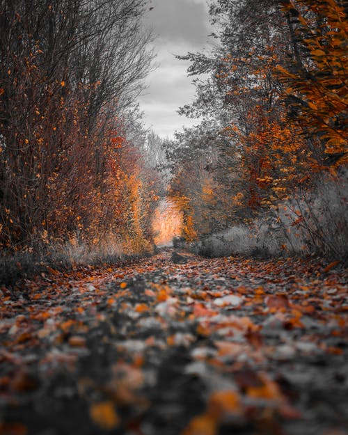 Background Hd Com - KibrisPDR