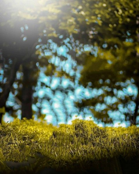Detail Background Hd Com Nomer 14
