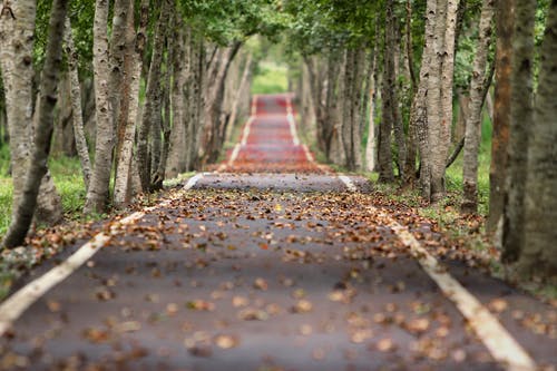 Detail Background Hd Com Nomer 53