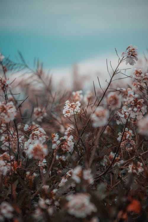 Detail Background Hd Com Nomer 10