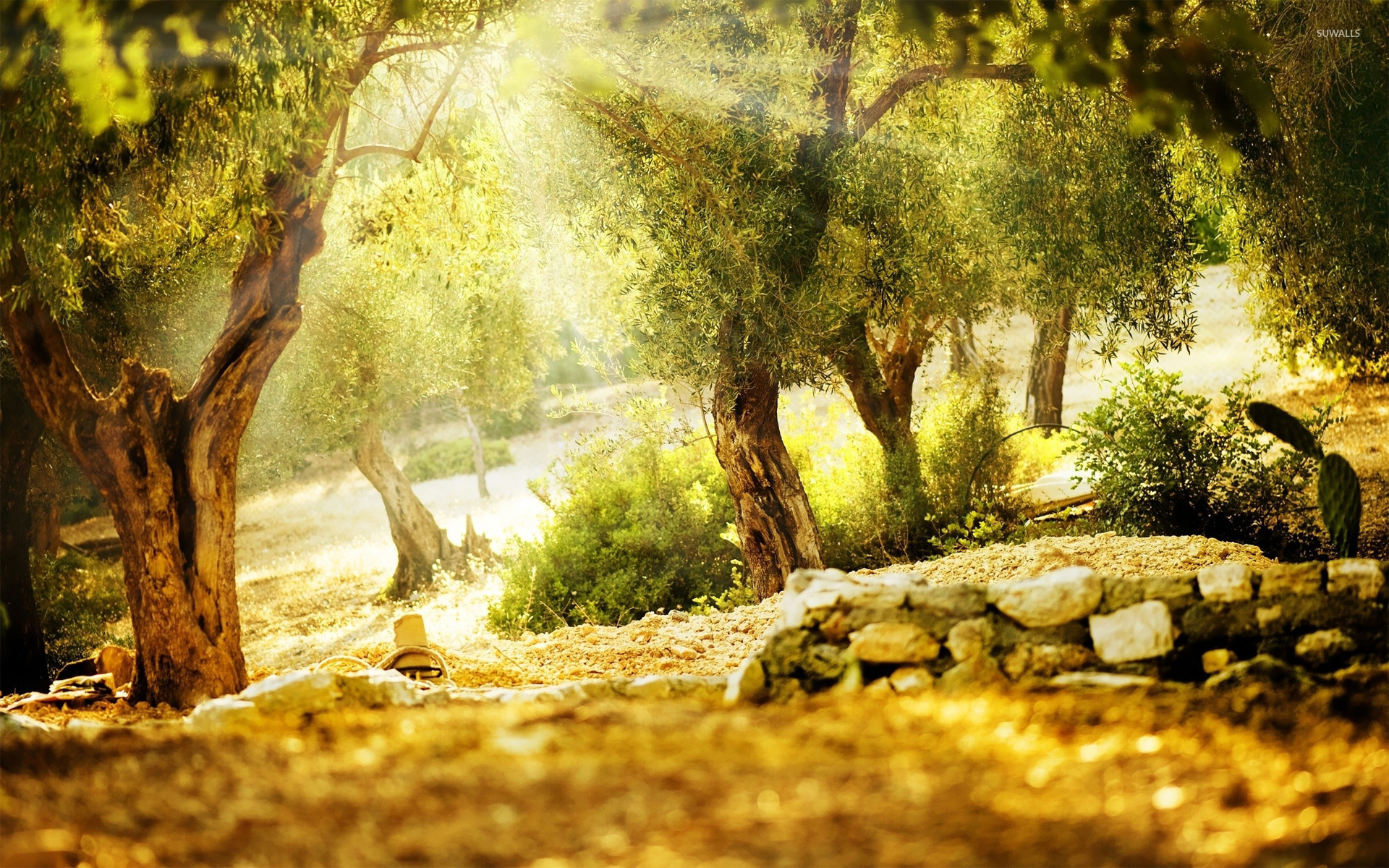 Detail Background Hd Images For Photoshop Koleksi Nomer 38 detail-background-hd-images-for-photoshop-koleksi-nomer-38