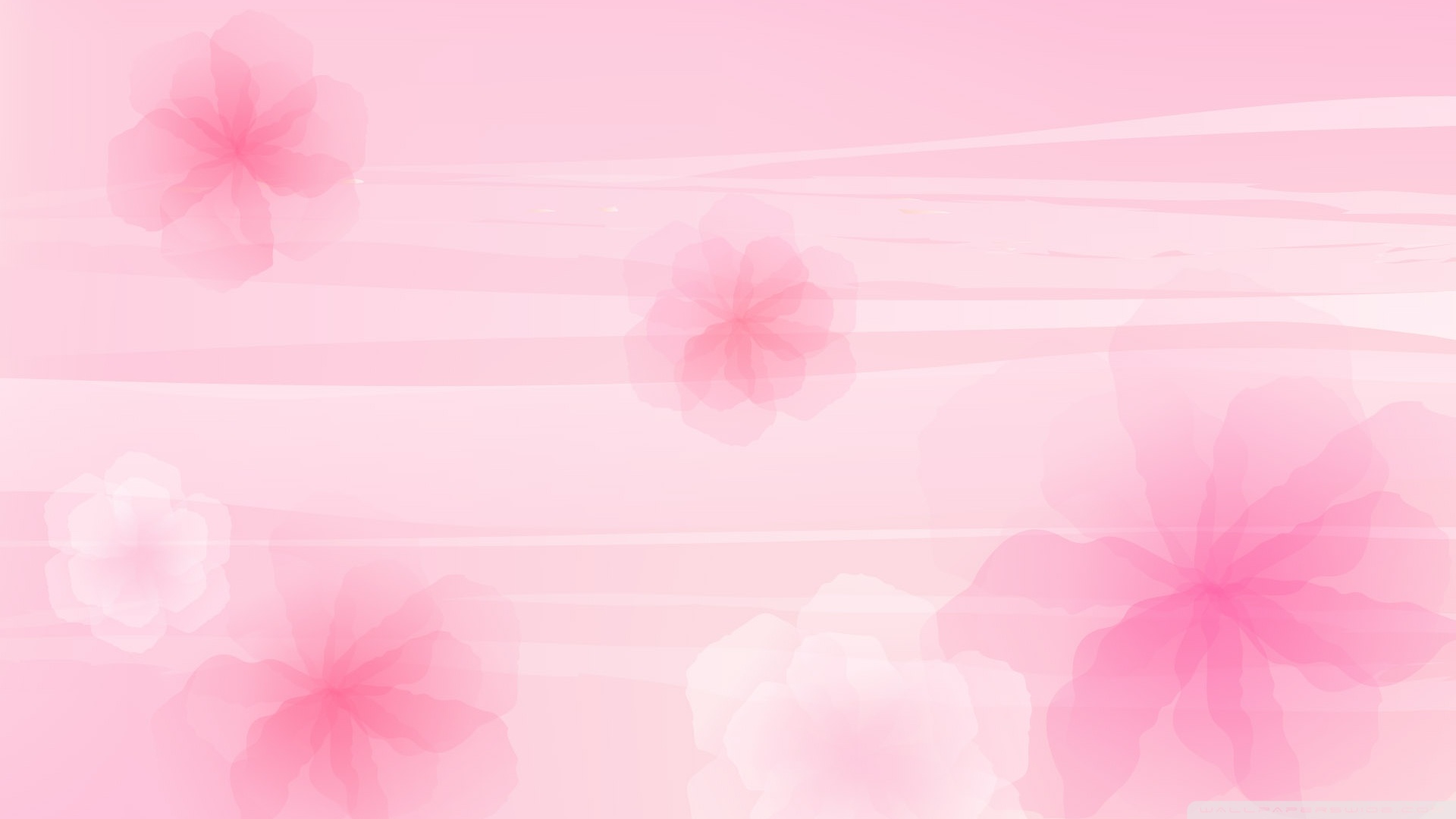 Detail Background Hd Pink Nomer 41