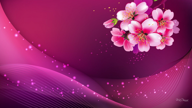 Detail Background Hd Pink Nomer 50