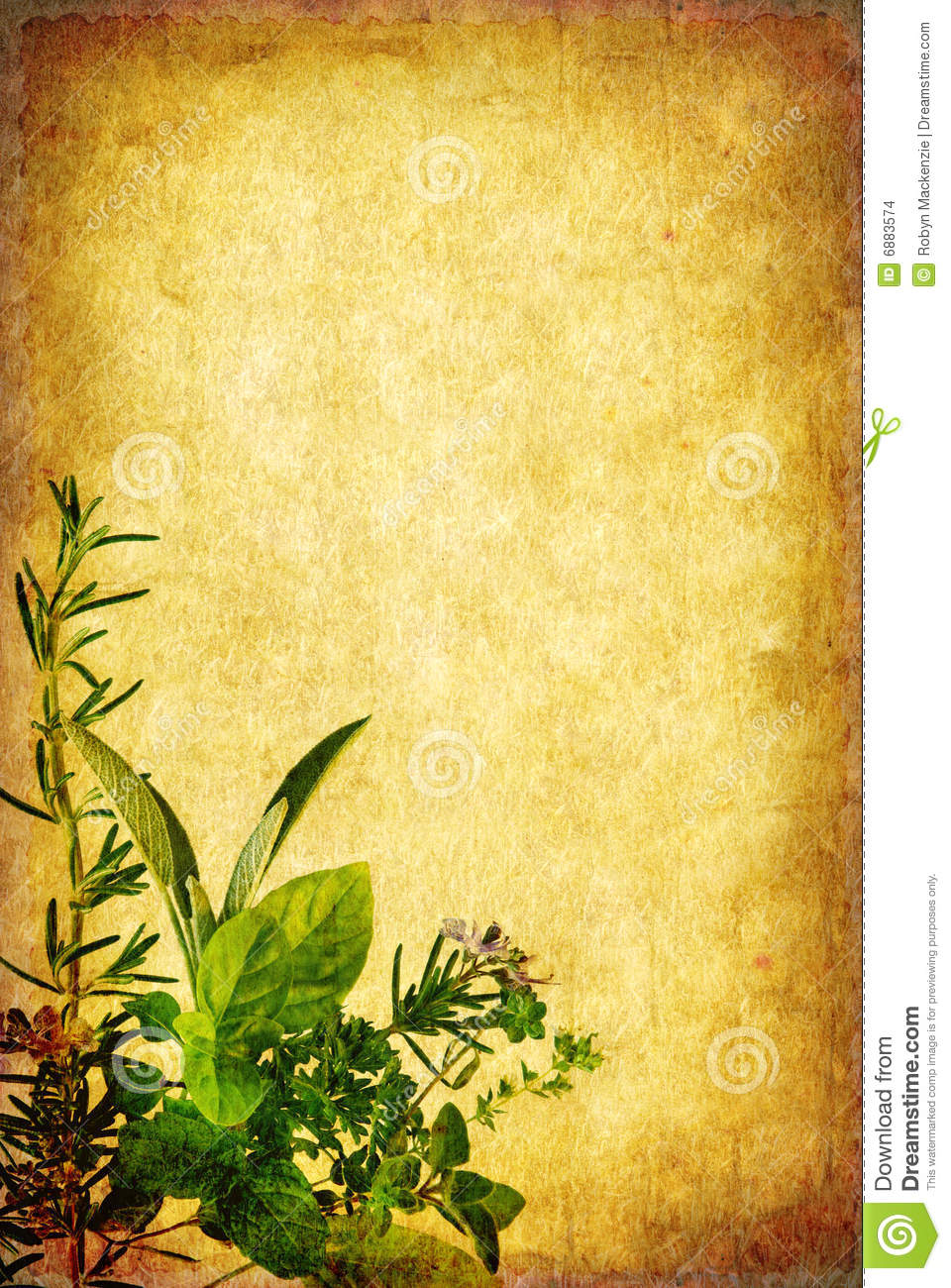 Detail Background Herbal Nomer 46