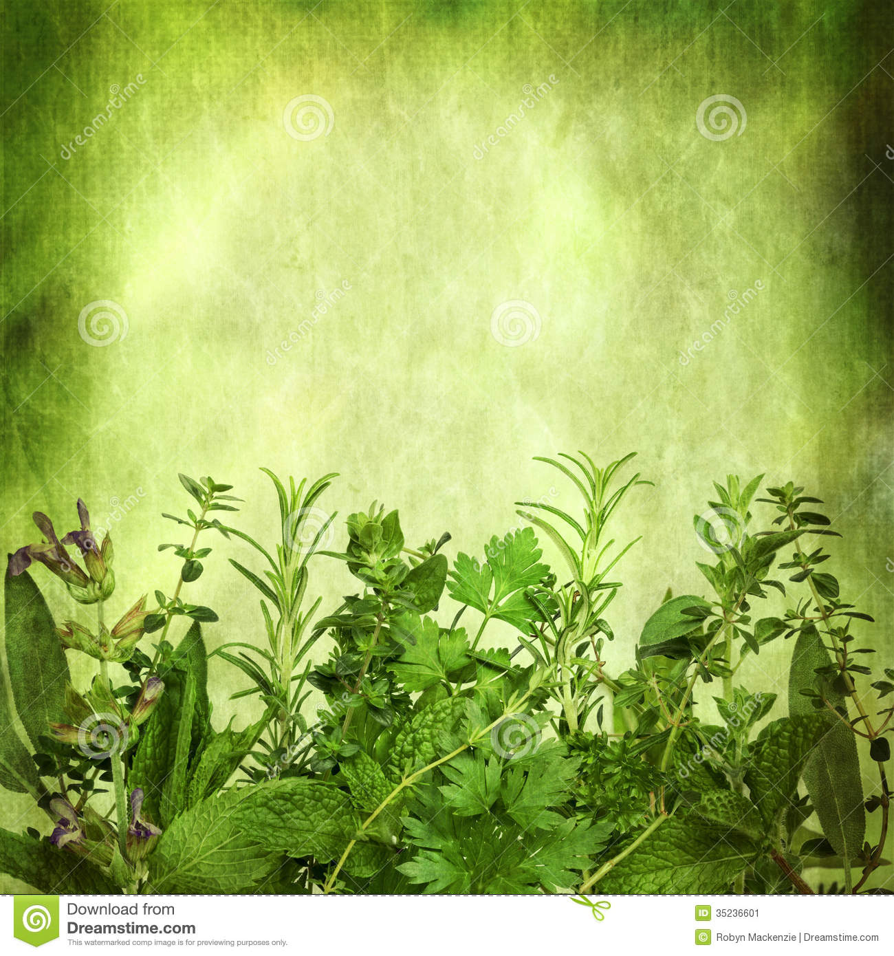 Detail Background Herbal Nomer 8