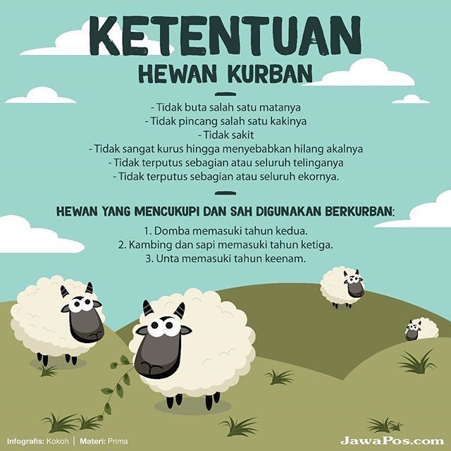 Detail Background Hewan Qurban Nomer 20