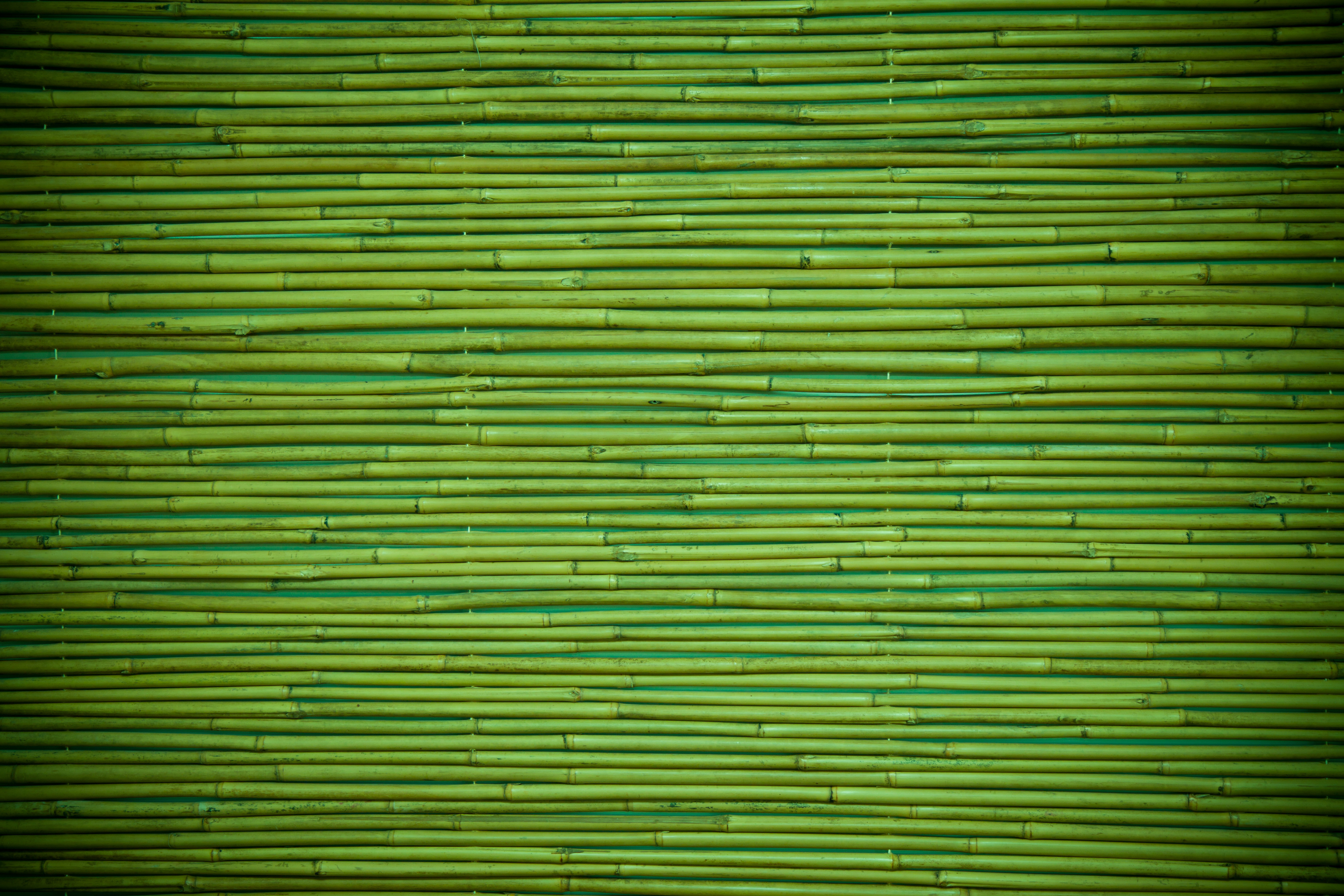Detail Background Hijau Nomer 58