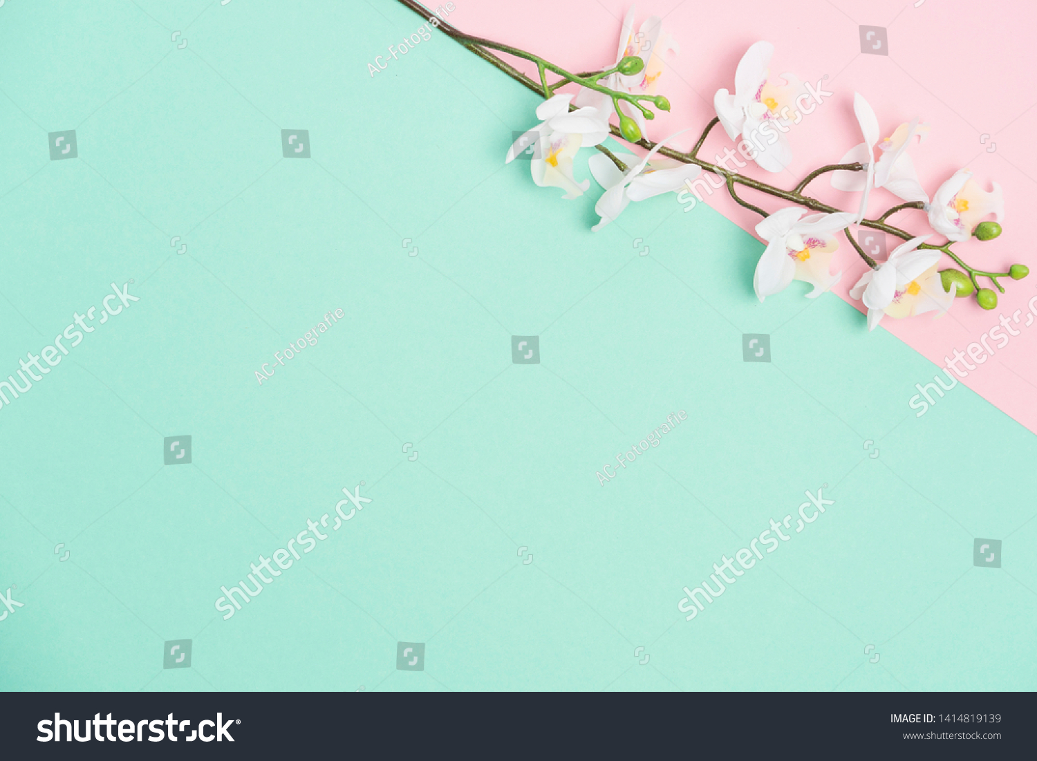 Detail Background Hijau Pink Nomer 26