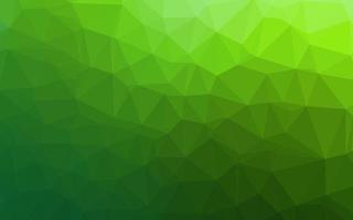Detail Background Hijau Polygonal Nomer 6