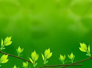 Detail Background Hijau Powerpoint Nomer 19