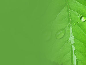 Detail Background Hijau Powerpoint Nomer 42