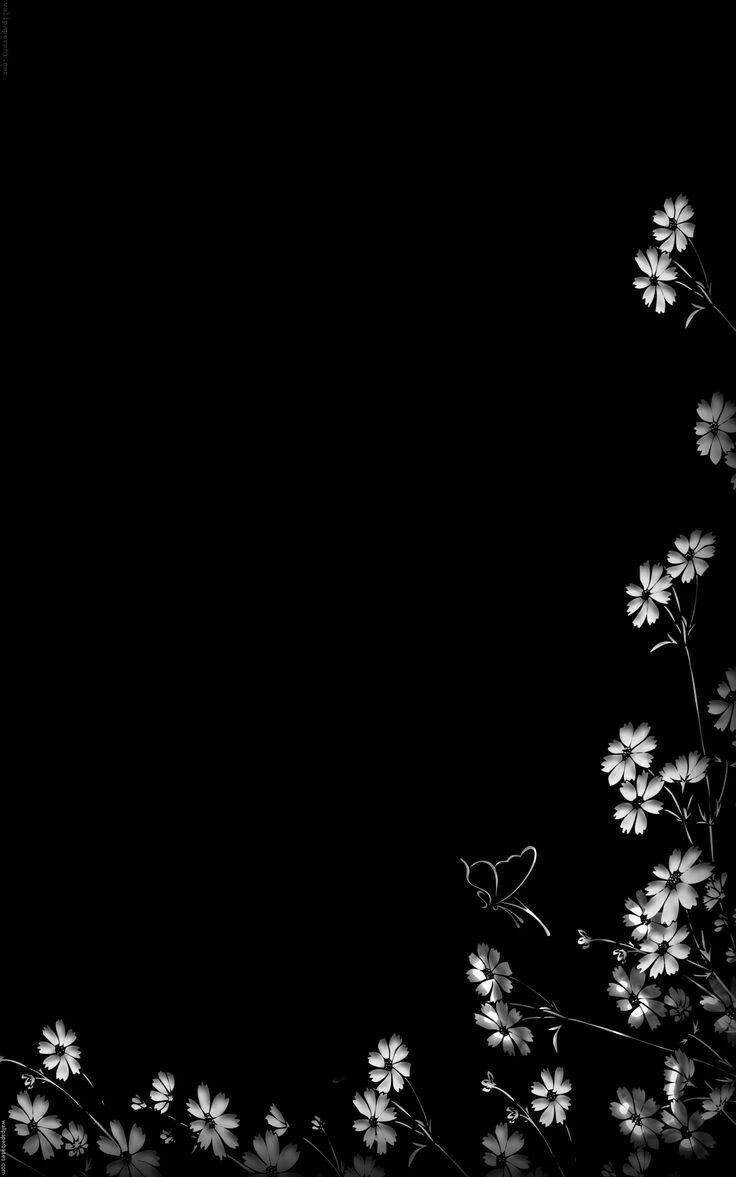 Detail Background Hitam Polos Nomer 48