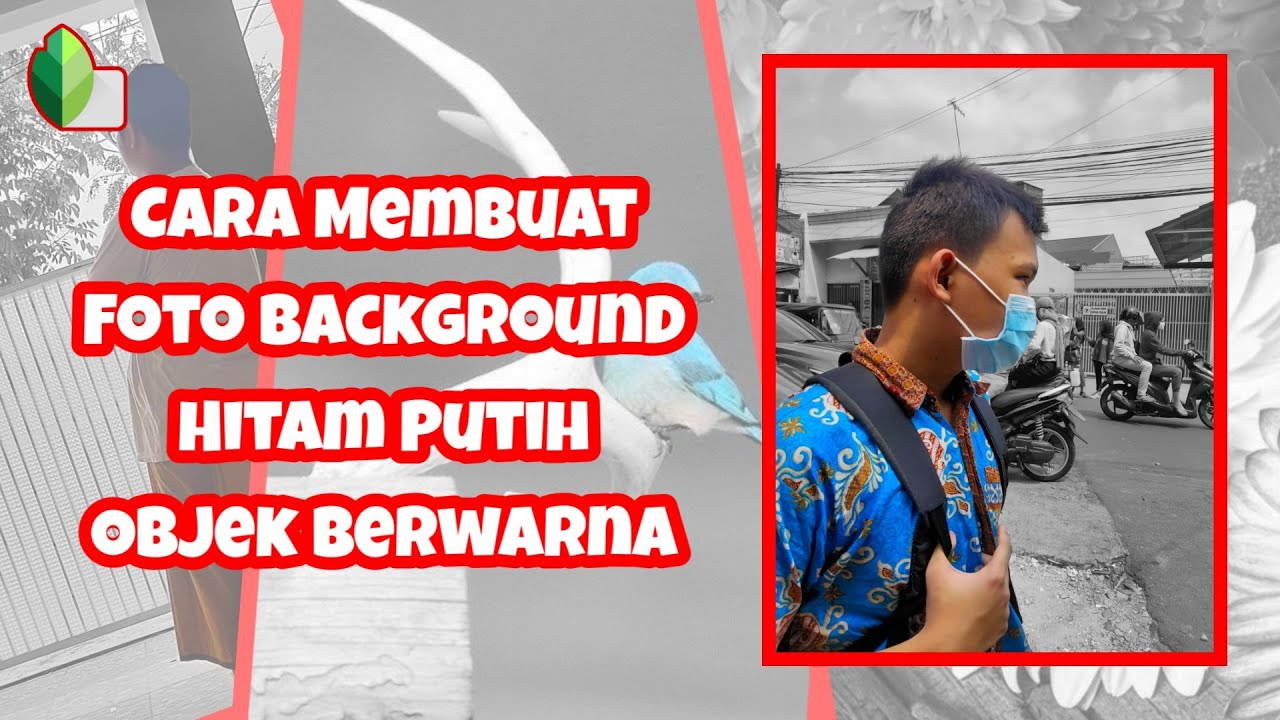 Detail Background Hitam Putih Objek Berwarna Nomer 15