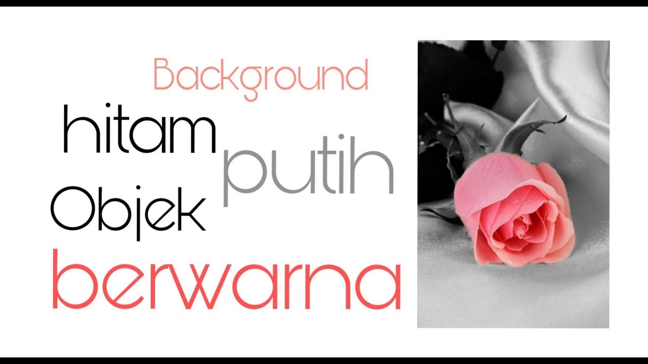 Detail Background Hitam Putih Objek Berwarna Nomer 27