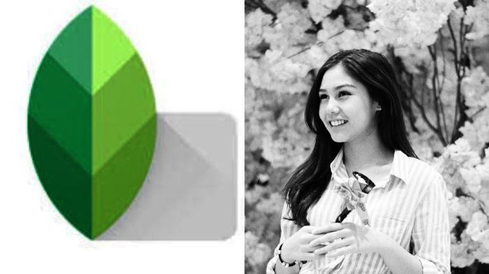 Detail Background Hitam Putih Objek Berwarna Nomer 30