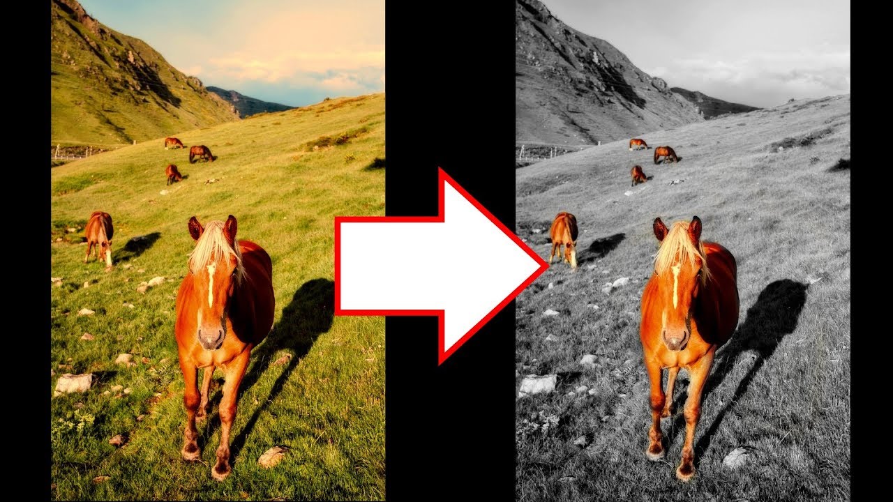 Detail Background Hitam Putih Objek Berwarna Di Photoshop Nomer 14