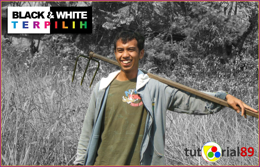 Detail Background Hitam Putih Objek Berwarna Di Photoshop Nomer 21