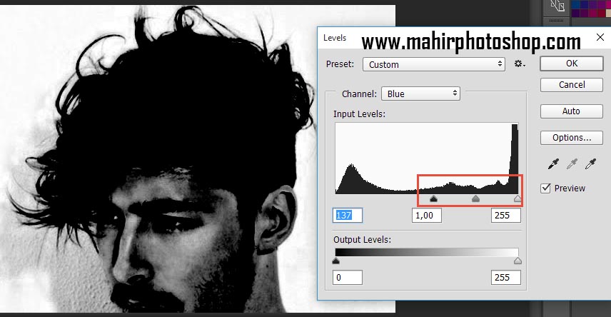 Detail Background Hitam Putih Objek Berwarna Di Photoshop Nomer 38