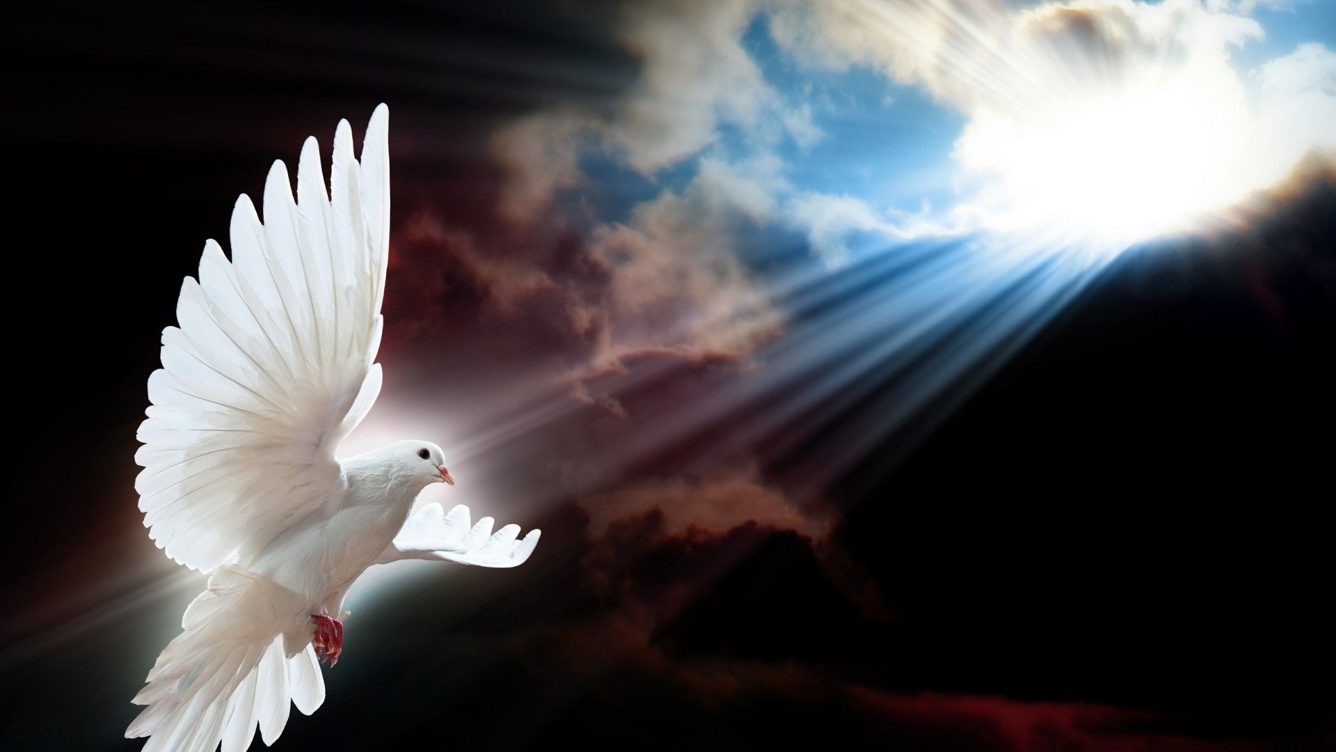 Background Holy Spirit Wallpaper Hd - KibrisPDR