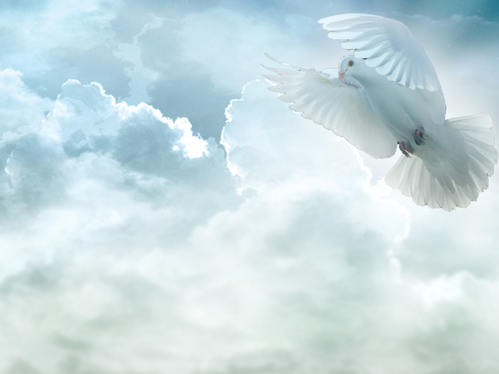 Detail Background Holy Spirit Wallpaper Hd Nomer 14