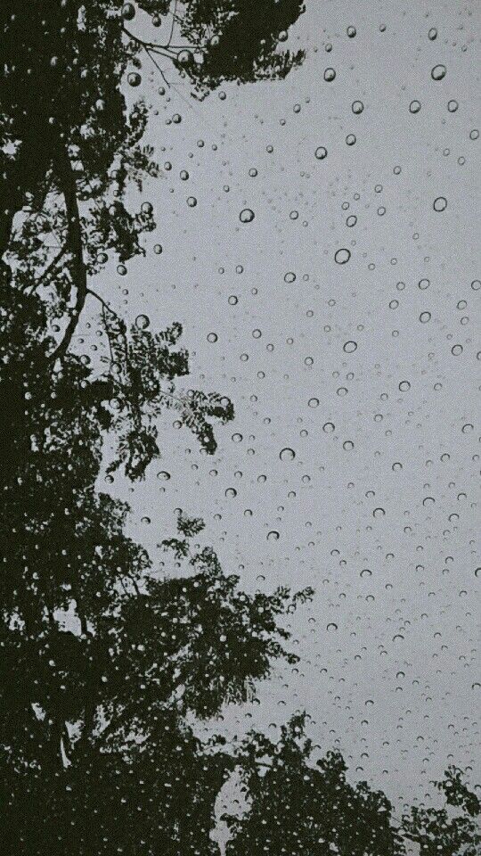 Detail Background Hujan Nomer 2