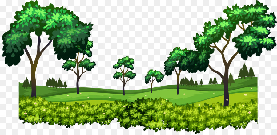 Detail Background Hutan Vector Nomer 45