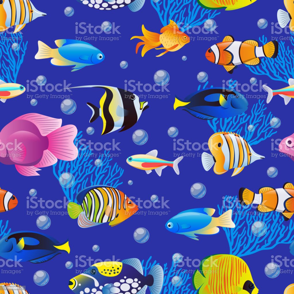 Detail Background Ikan Laut Nomer 27