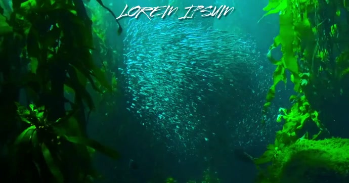 Detail Background Ikan Laut Nomer 46