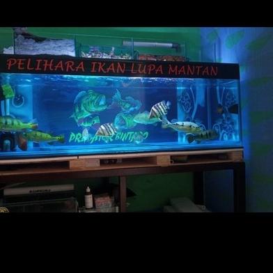 Detail Background Ikan Predator Nomer 6